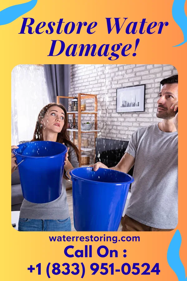 water restoration Atlas Water Damage Services Holton