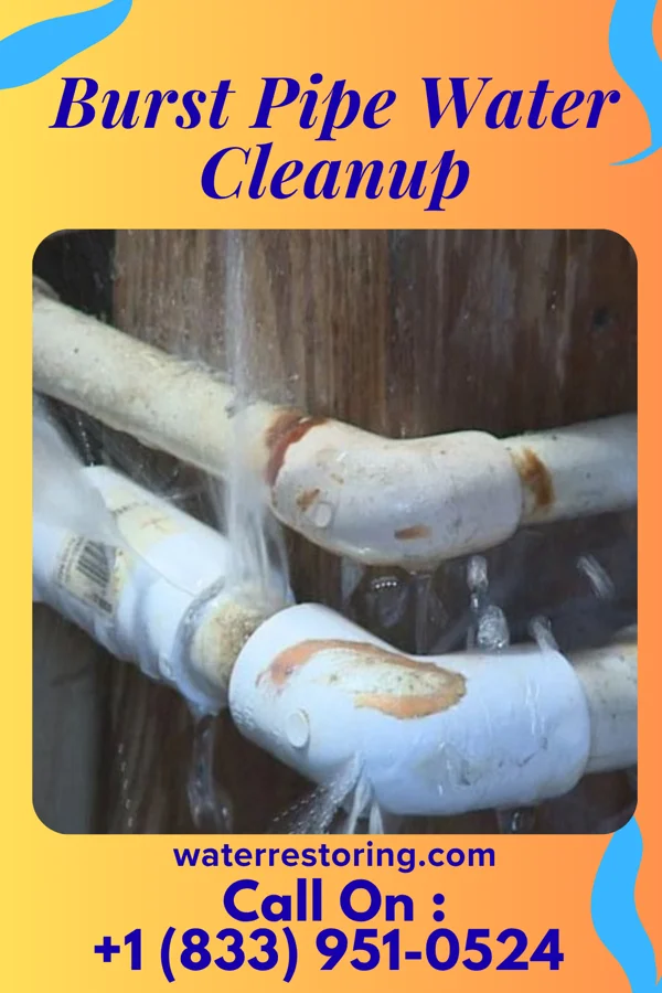Burst Pipe Water Cleanup in Holton, IN