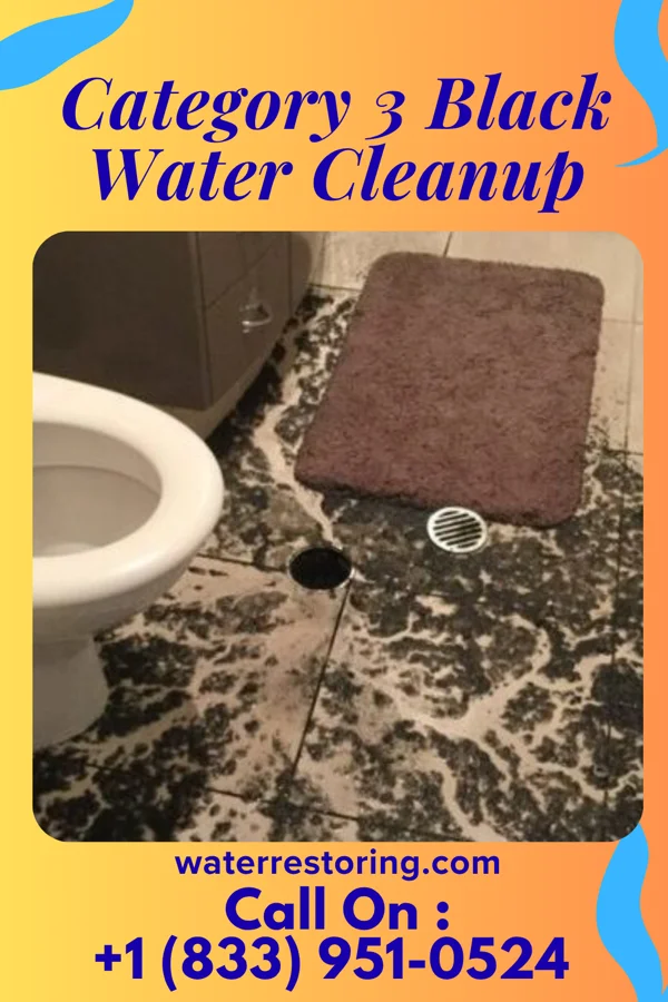 Category 3 Black Water Cleanup in Holton, IN