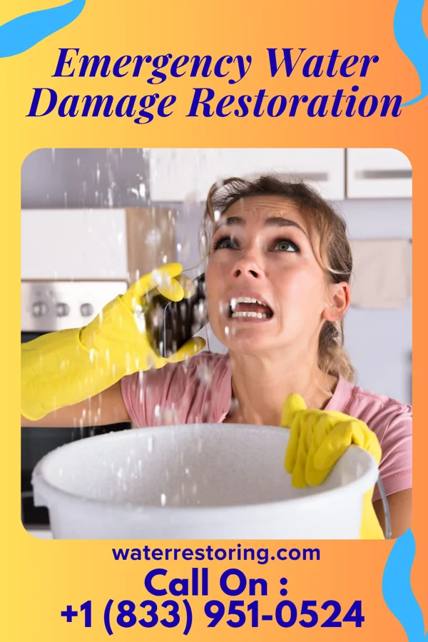 Emergency Water Damage Restoration in Holton, IN