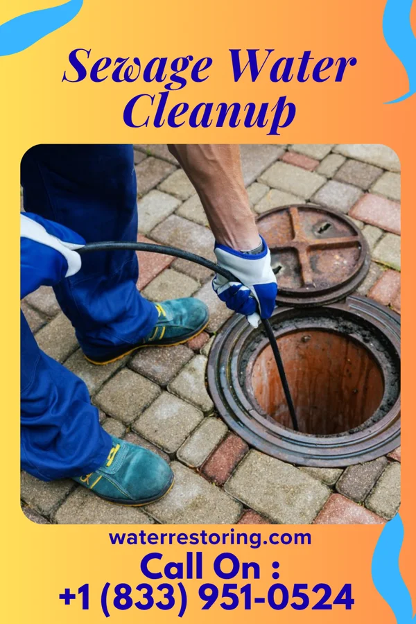 Sewage Water Cleanup in Holton, IN