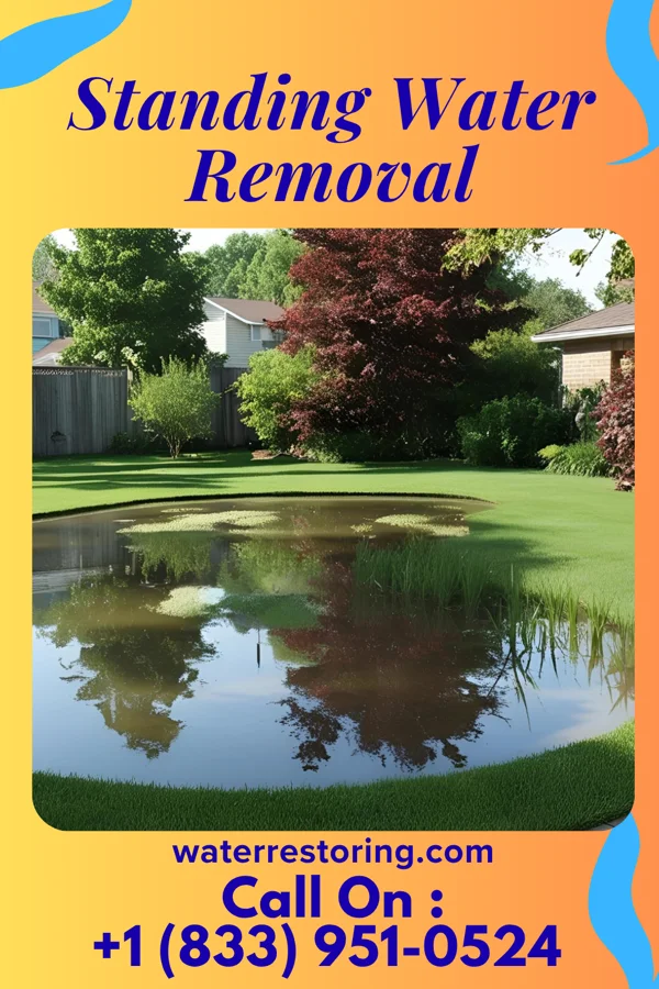 Standing Water Removal in Holton, IN